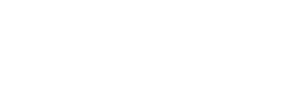 Pebble Logo White